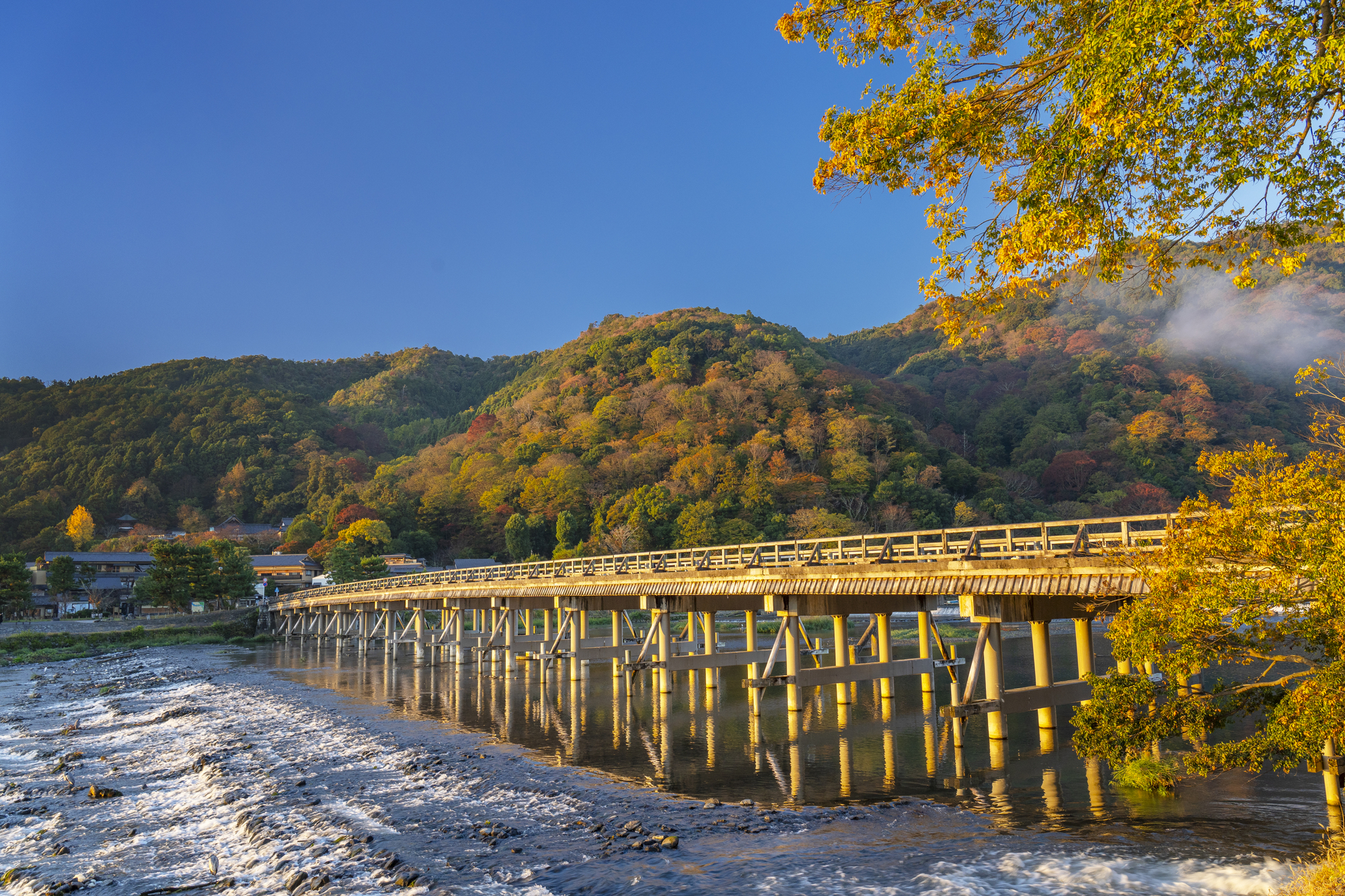 옛 수도의 정취가 살아 숨 쉬는 곳, 아라시야마에 오신 것을 환영합니다