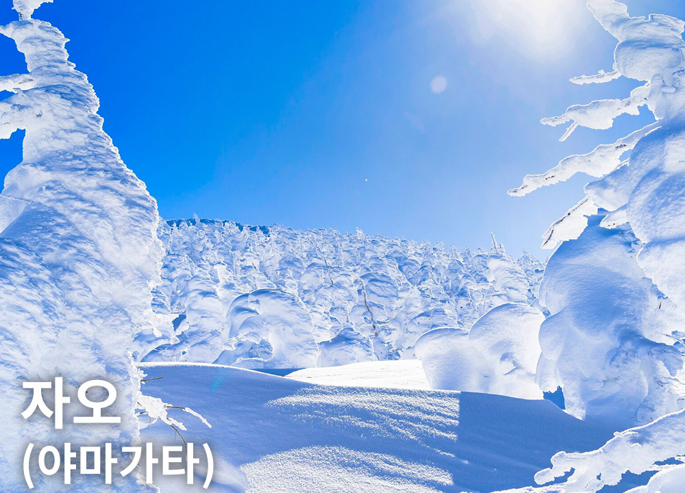 자오(야마가타)