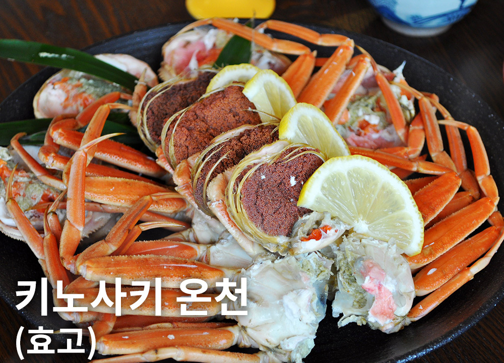 키노사키 온천(효고)