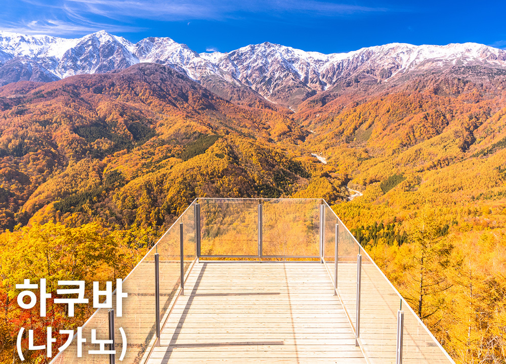하쿠바(나가노)
