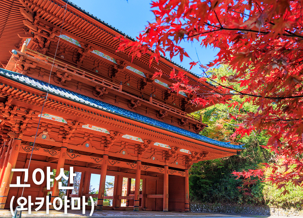 고야산(와카야마)