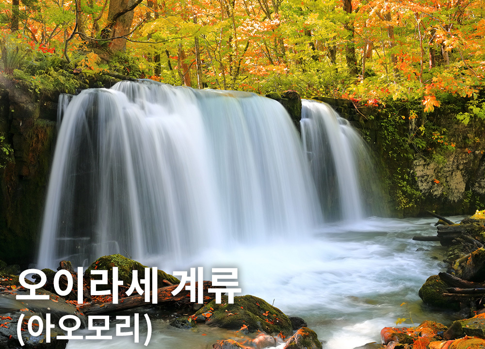 오이라세 계류(아오모리)