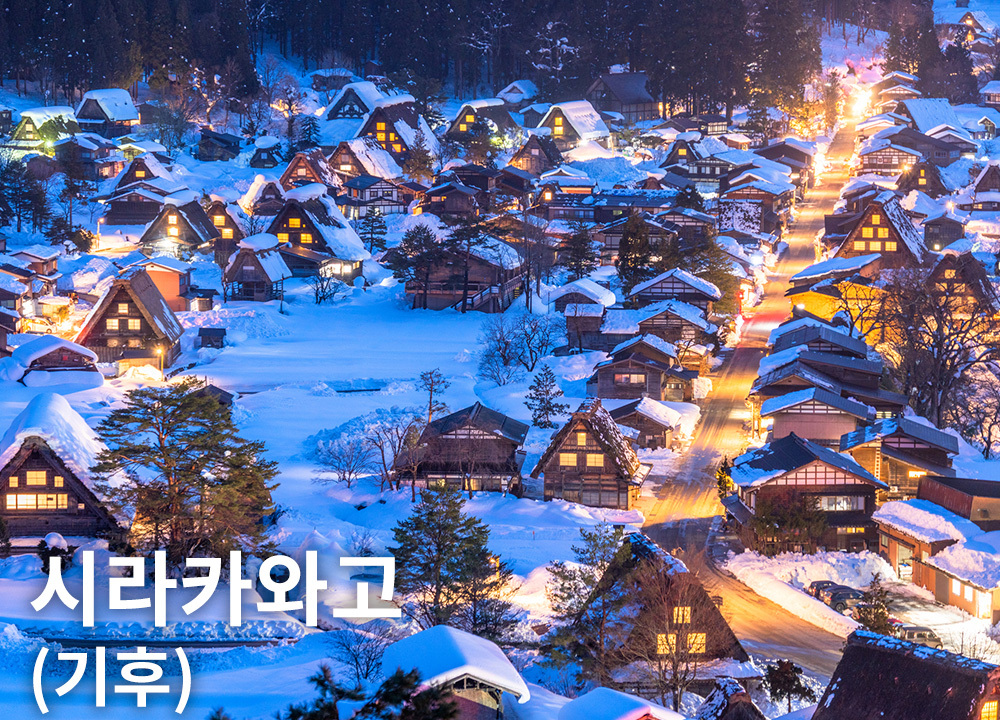 시라카와고(기후)